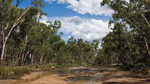 Pilliga National Park - Tourism Cairns 2