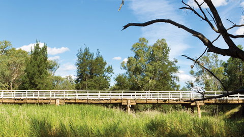 Pilliga National Park - Tourism Cairns 3