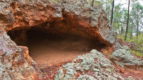 Pilliga National Park - Tourism Cairns 1