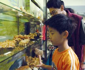 Crystal Kingdom - Tourism Cairns 2