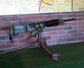 Woodpecker Gun - Tourism Cairns 0