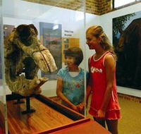 Australian Museum Diprotodon Exhibition - Tourism Cairns