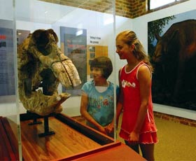 Australian Museum Diprotodon Exhibition - Tourism Cairns 0