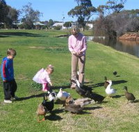Roy Little Park Merredin - Tourism Cairns