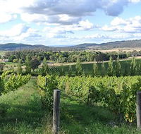 Sassy Wines - Tourism Cairns