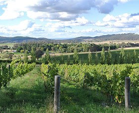 Sassy Wines - Tourism Cairns 0