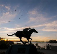 Black Caviar Statue - Tourism Cairns
