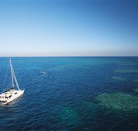 Bait Reef and Garys Lagoon Dive Site - Tourism Cairns