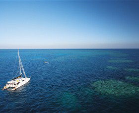 Bait Reef And Garys Lagoon Dive Site - Tourism Cairns 0