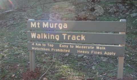 Mount Murga Walking Track - Tourism Cairns 1