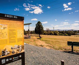 O'Brien's Hill - Tourism Cairns 0