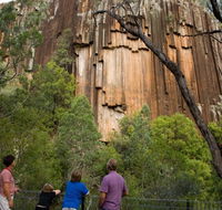 Sawn Rocks walking track - Tourism Cairns