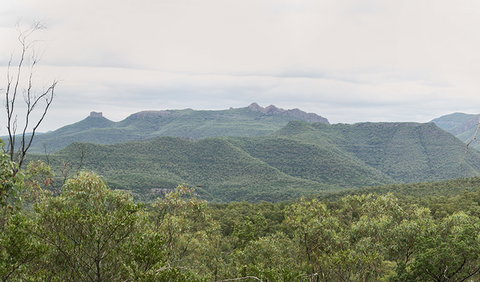 Deriah Aboriginal Information Bay - Tourism Cairns 3