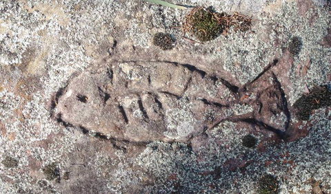 Terry Hie Hie Aboriginal Area - Tourism Cairns 3