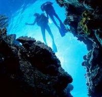 Caves and Canyons Dive Site - Tourism Cairns