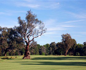 Corowa Golf Club - Tourism Cairns 5