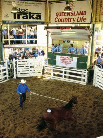 Gracemere QLD Tourism Cairns