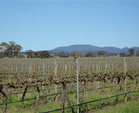 Monument Vineyard - Tourism Cairns 1