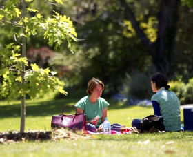 Botanic Gardens Wagga Wagga - Tourism Cairns 0
