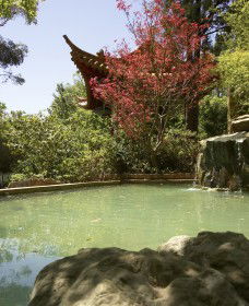Botanic Gardens Wagga Wagga - Tourism Cairns 2