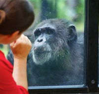 The Rockhampton Zoo - Tourism Cairns