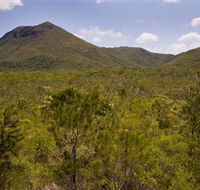 Kutini-Payamu Iron Range National Park CYPAL - Tourism Cairns