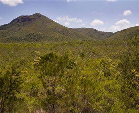 Kutini-Payamu (Iron Range) National Park (CYPAL) - Tourism Cairns 0