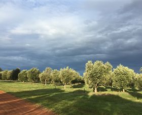 Teesdale VIC Tourism Cairns