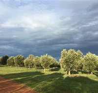 Camilo - Tourism Cairns