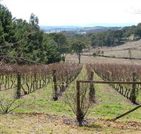 Habitat Vineyard - Tourism Cairns