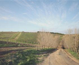 Austins & Co. - Tourism Cairns 0