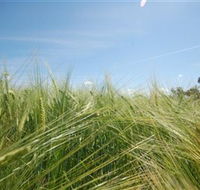 150 Degrees East Meridian - Tourism Cairns