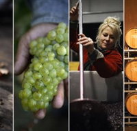 Ross Hill Wines - Tourism Cairns