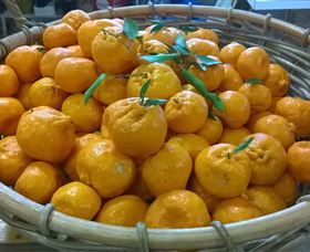 Hillside Orchard - Tourism Cairns 1