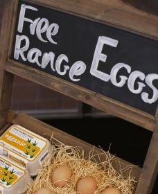 A Slice Of Orange - Tourism Cairns 1