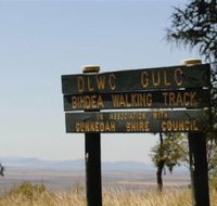 Bindea Walking Track - Tourism Cairns