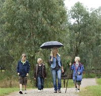 Wonga Wetlands - Tourism Cairns