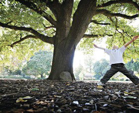 Albury Botanic Gardens - Tourism Cairns 1