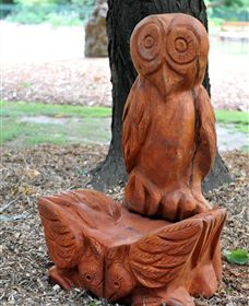 Albury Botanic Gardens - Tourism Cairns 7