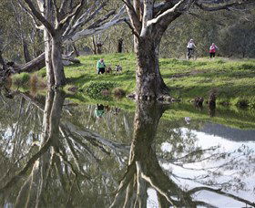 Wagirra Trail And Yindyamarra Sculpture Walk - Tourism Cairns 1