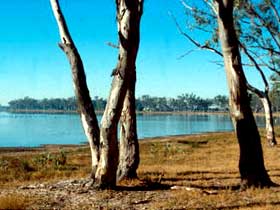 Lake Broadwater Conservation Park - Tourism Cairns 0