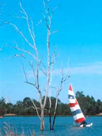 Lake Broadwater Conservation Park - Tourism Cairns 2