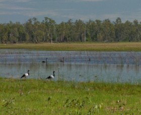 Lake Broadwater Conservation Park - Tourism Cairns 1