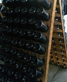 Beechworth Wine Estates - Tourism Cairns 6