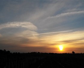 Beechworth Wine Estates - Tourism Cairns 4