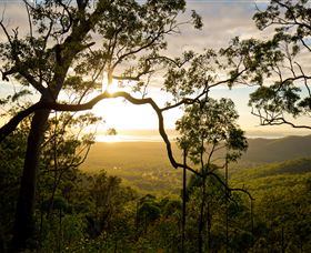 Mount Larcom Climb - Tourism Cairns 2