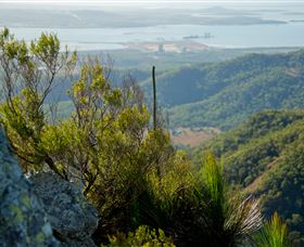 Mount Larcom Climb - Tourism Cairns 1