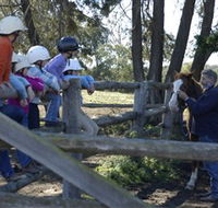 Harlow Park Horse Riding - Tourism Cairns