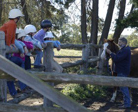 Harlow Park Horse Riding - Tourism Cairns 0