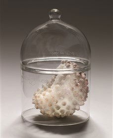 ANU School Of Art Gallery - Tourism Cairns 2